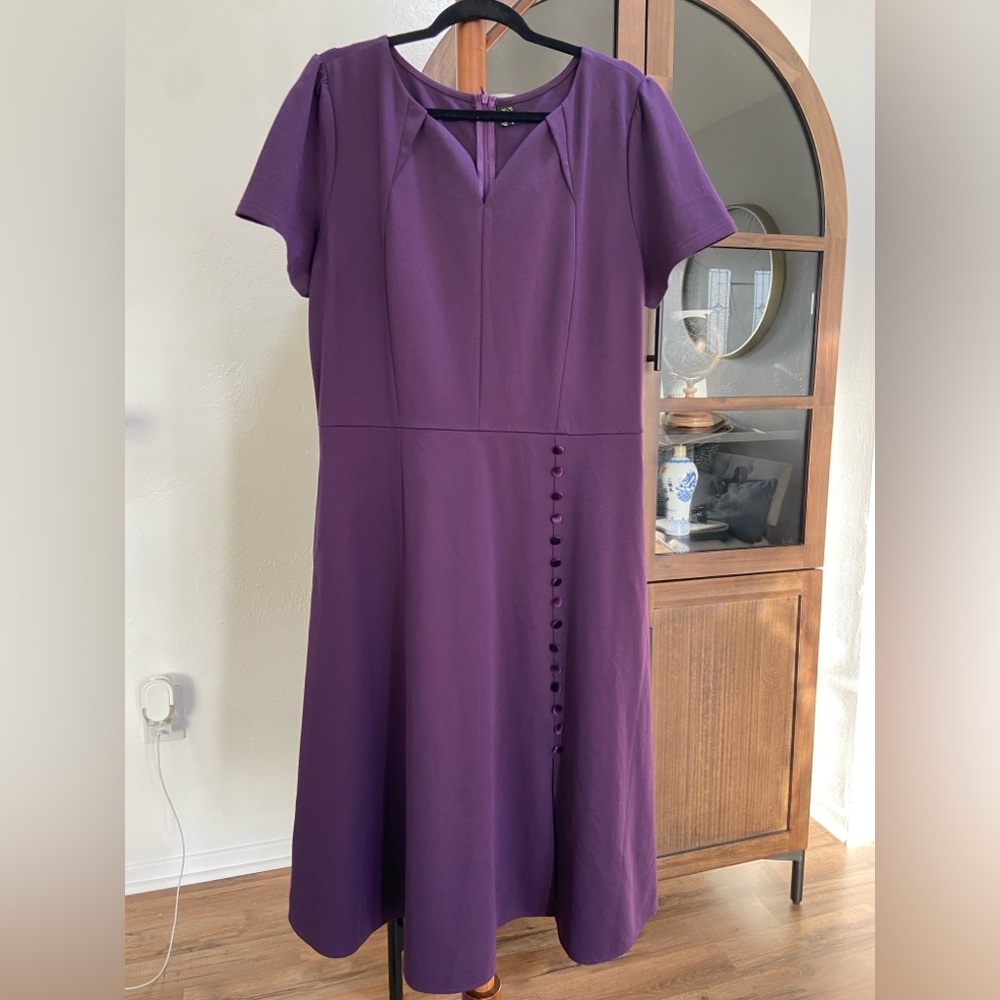 EUC Amazon VFShow dress